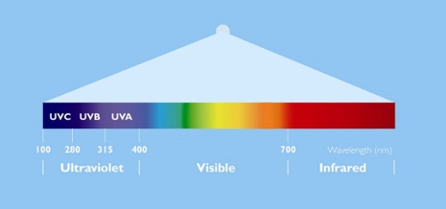 Benefits & Information About UVC Light & UV Light Sanitizers